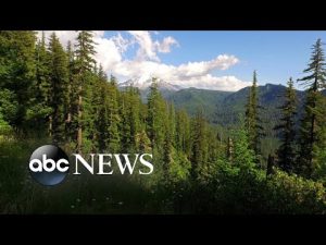 Read more about the article NOAA issues spring weather outlook
