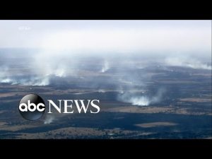 Read more about the article Texas wildfires burn throughout central part of state