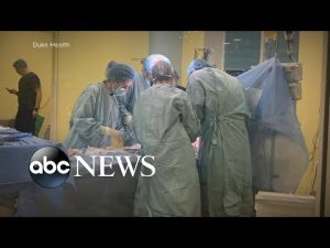 Read more about the article American health care workers risk lives in Ukraine
