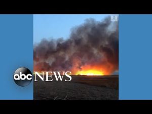 Read more about the article Huge smoke plumes from fire in marsh near Liverpool