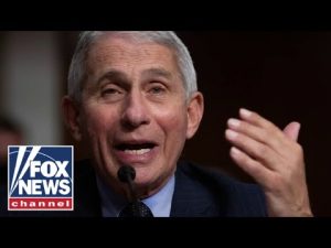 Read more about the article Tammy Bruce rips Fauci for fearmongering: ‘He needs to leave the scene’