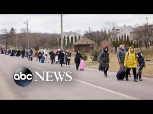 Read more about the article 10 million people displaced or forced to flee Ukraine: UN | ABCNL