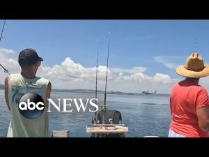 Read more about the article Family surprised by leaping great white shark