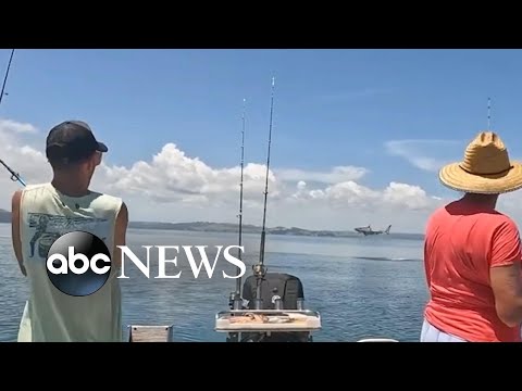 You are currently viewing Family surprised by leaping great white shark