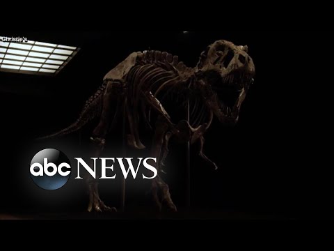 You are currently viewing Colossal mystery solved