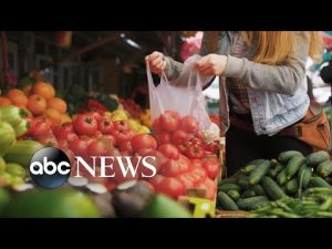 Read more about the article Food crisis