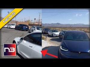 Read more about the article Tesla Owner EXPOSES Major Flaw In Electric Cars In Viral Vid Comparing Them To Gas Powered
