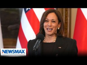 Read more about the article Dershowitz: Does the Constitution permit Kamala Harris to break a SCOTUS tie? | ‘America Right Now’