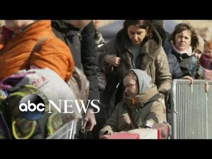 Read more about the article More than 3.9 million refugees have fled Ukraine