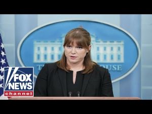 Read more about the article Live: White House director of communication Kate Bedingfield holds a briefing