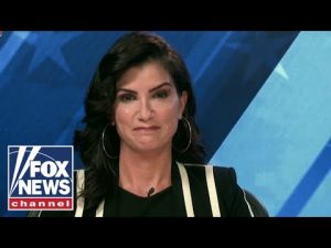 Read more about the article Loesch: The Democratic Party can’t get it together