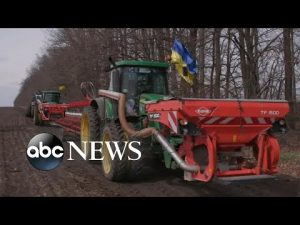 Read more about the article Ukraine’s farmers persevere as war threatens global food supply