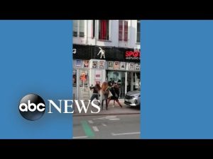 Read more about the article Pedestrians break dog’s fall from building