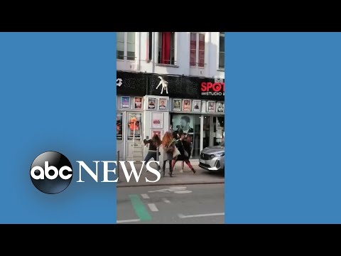 Read more about the article Pedestrians break dog’s fall from building