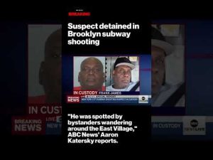 Read more about the article Brooklyn subway shooting suspect apprehended after spotted “wandering around the East Village.”