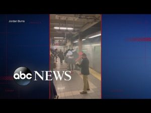 Read more about the article Social media reveals details on Brooklyn subway shooting suspect I ABCNL