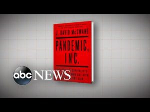 Read more about the article How pandemic funding fraud cost US millions l ABCNL