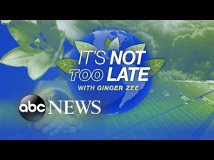 Read more about the article It’s not too late: Solar solutions to curb effects of climate change l ABCNL