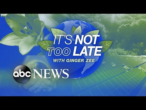 You are currently viewing It’s not too late: Solar solutions to curb effects of climate change l ABCNL