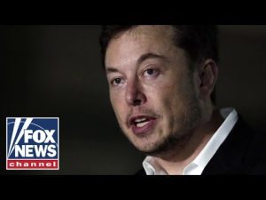 Read more about the article Elon Musk is the right ‘medicine’ for Twitter: Payne