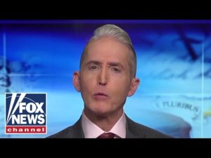 Read more about the article Trey Gowdy: Democracy’s biggest threat