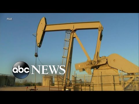 You are currently viewing President Biden to open more public land for drilling oil