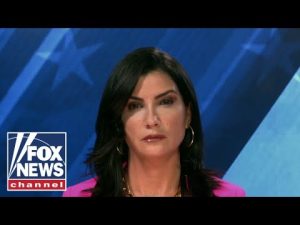 Read more about the article These people are directly responsibly for the surge in crime: Dana Loesch