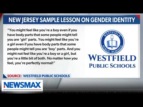 Read more about the article Clinical psychologist SLAMS gender identity education | Dr. Angela Plowhead | ‘National Report’