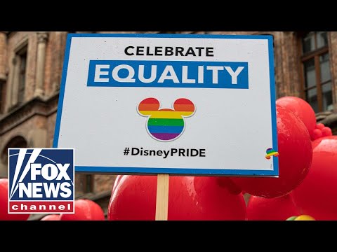 Read more about the article Disney ‘most magical place on earth’ now ‘hypocritical, woke’: FL Lt. Gov. Núñez
