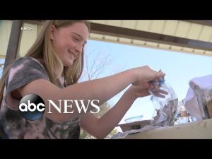 Read more about the article Saving the Earth by mail