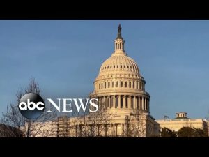 Read more about the article Chaos at the Capitol