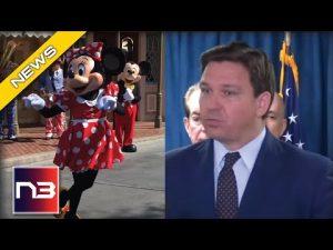 Read more about the article GAME OVER: DeSantis Just Gave The Middle Finger To Disney Down In The Florida Swamp