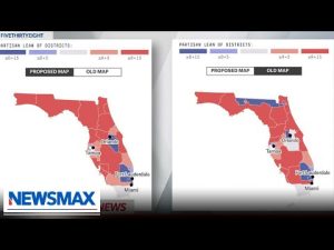 Read more about the article Florida Legislature passes redistricting and Disney bill despite protests | REPORT