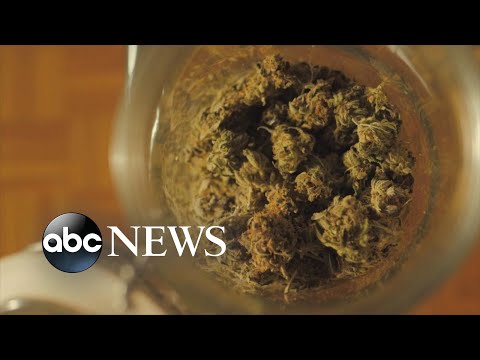 You are currently viewing Legal marijuana sales begin in New Jersey