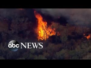 Read more about the article Nearly 13 wildfires burn across 4 states, hundreds forced to evacuate l WNT