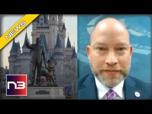 Read more about the article Disney Declares War On Florida’s Parental Rights Bill