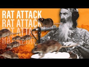Read more about the article How Phil Dealt With the INVASION of Rats in His Home | @Phil Robertson