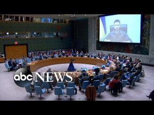 Read more about the article Criticism resurfaces after UN Security Council’s inaction on Ukraine