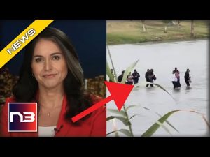 Read more about the article More Bad News For Biden From The Left As Gabbard Launches Attack on His Border Plans
