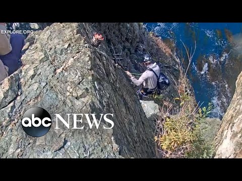 You are currently viewing Rescue mission