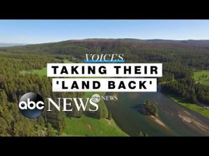 Read more about the article Indigenous groups fight climate change by getting their ‘land back’ l ABC News