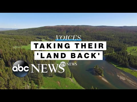 You are currently viewing Indigenous groups fight climate change by getting their ‘land back’ l ABC News