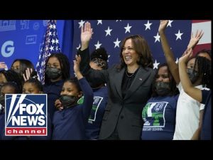 Read more about the article Kamala Harris called out for new PR ‘fiasco’