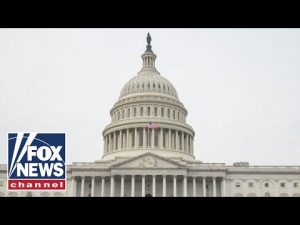 Read more about the article Live: Oil industry execs testify before Congress as gas prices skyrocket nationwide