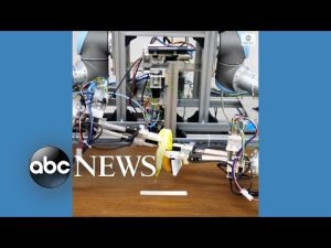Read more about the article Japanese robot peels bananas perfectly