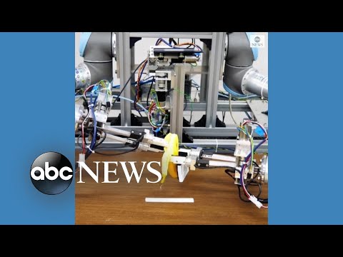 You are currently viewing Japanese robot peels bananas perfectly