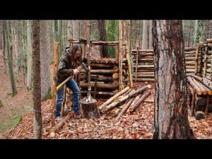 Read more about the article Camping at my Hidden Shelter in the Woods with my Dog!