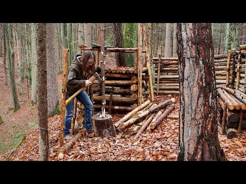 Read more about the article Camping at my Hidden Shelter in the Woods with my Dog!