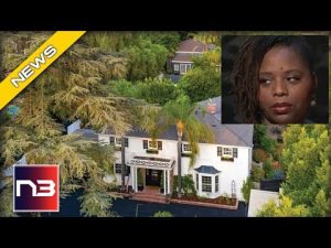 Read more about the article Take A Sneak Peek Into BLM’s Multi-Million Dollar Mansion They Wanted To Keep Secret