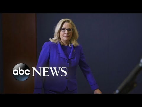 You are currently viewing Members of Jan. 6 committee divided